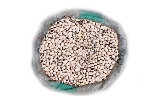 Honey Beans HOZEY AL MUGHNY – Grains Premium Naturels