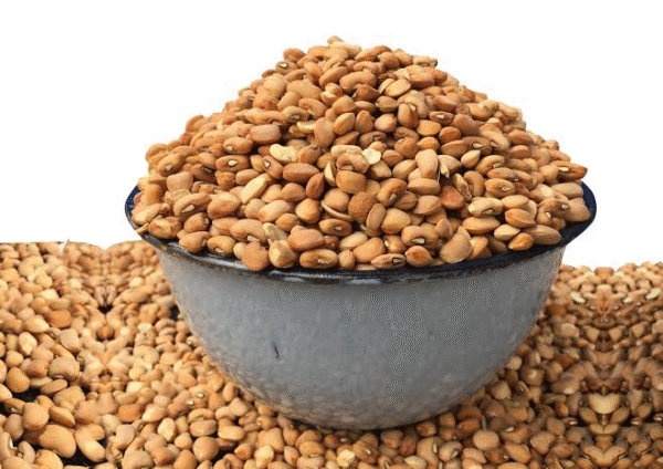 Honey Beans HOZEY AL MUGHNY – Grains Premium Naturels