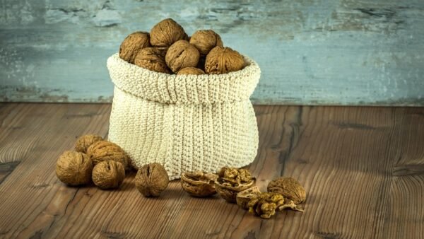 Noix de Karité Séchée Premium – Qualité Export Cosmétique & Alimentaire | HOZEY AL MUGHNY (Copie) (Copie)