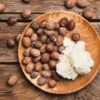 Noix de Karité Séchée Premium – Qualité Export Cosmétique & Alimentaire | HOZEY AL MUGHNY