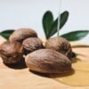 Noix de Karité Séchée Premium – Qualité Export Cosmétique & Alimentaire | HOZEY AL MUGHNY (Copie)