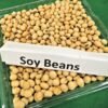 Soja Premium HOZEY AL MUGHNY – Qualité Supérieure pour Exportation Mondiale