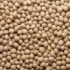 Soja Premium d’Afrique – Grains Sélectionnés pour Exportation Mondiale