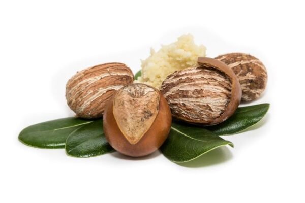 Noix de Karité Séchée Premium – Qualité Export Cosmétique & Alimentaire | HOZEY AL MUGHNY (Copie) (Copie)